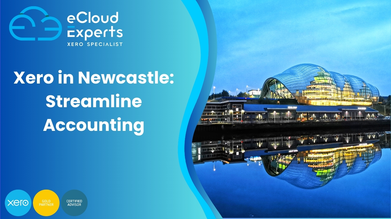 Xero experts in Newcastle