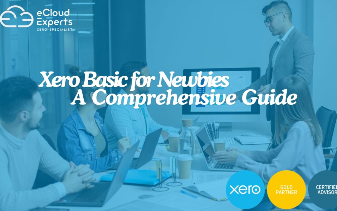 Xero Basics for Newbies: A Comprehensive Guide