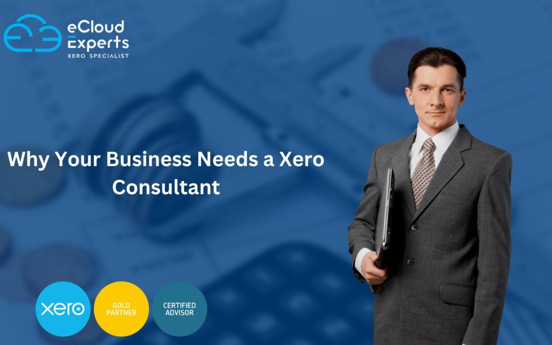 Why Your Business Needs a Xero Consultant