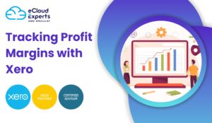 Tracking Profit Margins with Xero