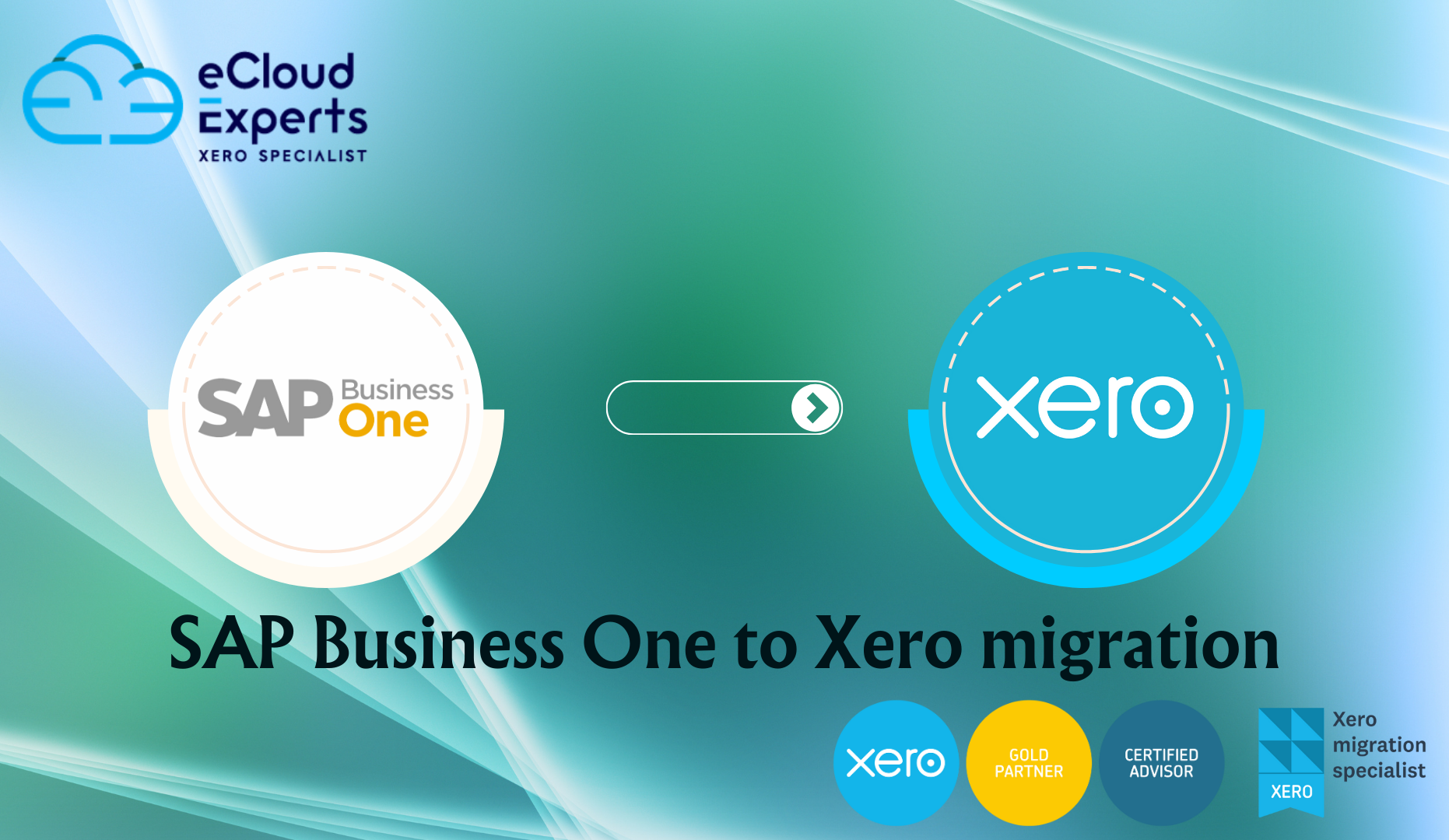 SAP Business One to Xero migration