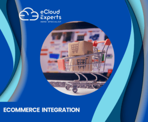 Ecommerce Integration