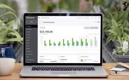 QuickBooks Online Virtual Finance Department