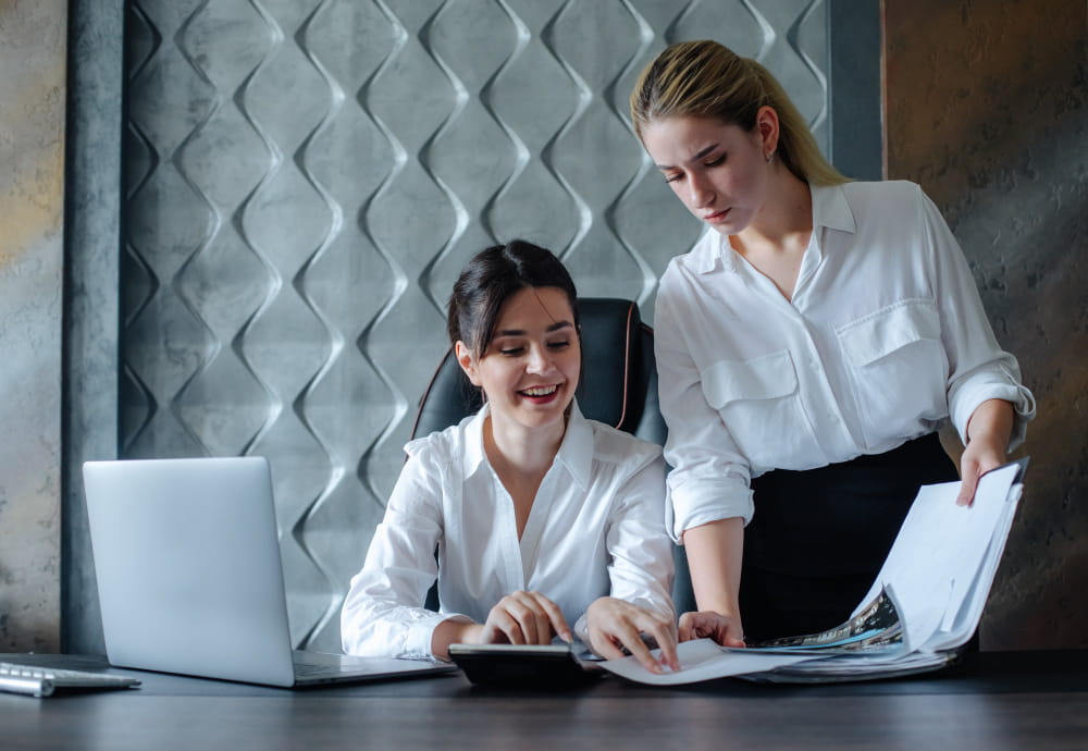 Accountants and Bookkeepers