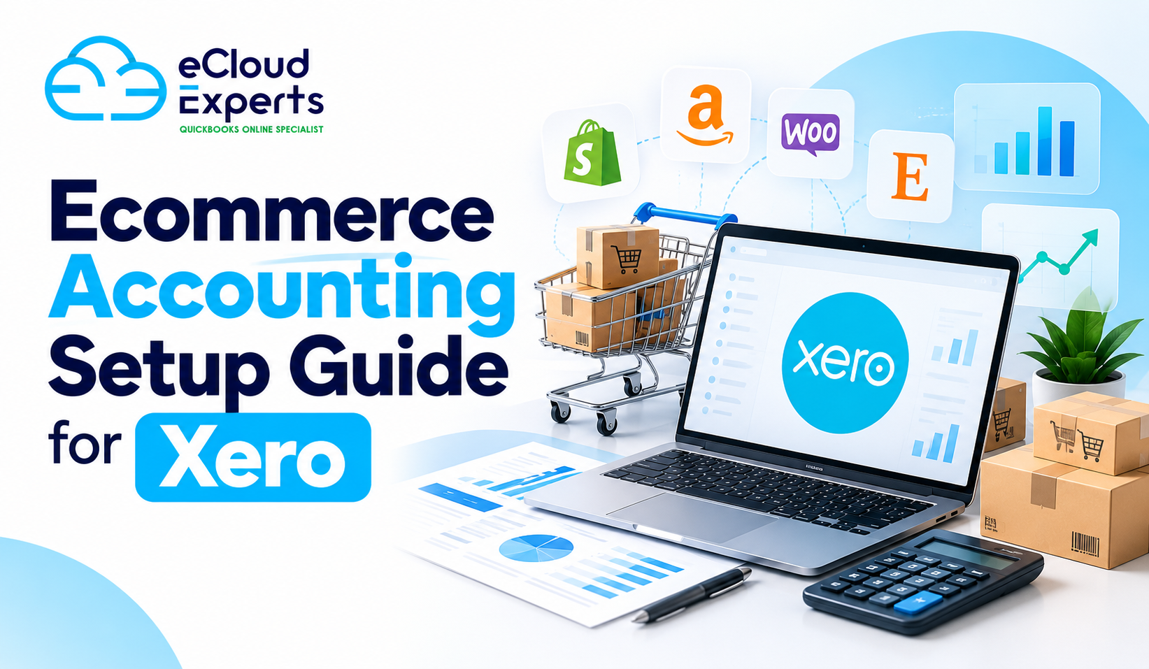 ecommerce accounting setup guide
