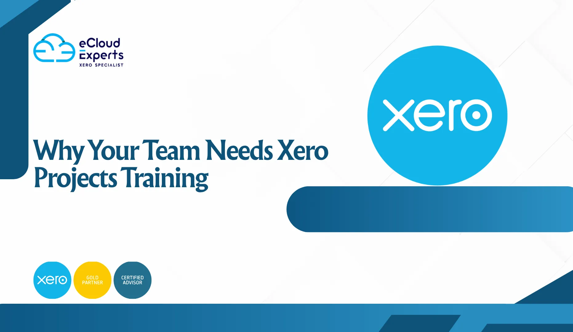 Why Your Team Needs Xero Projects Training